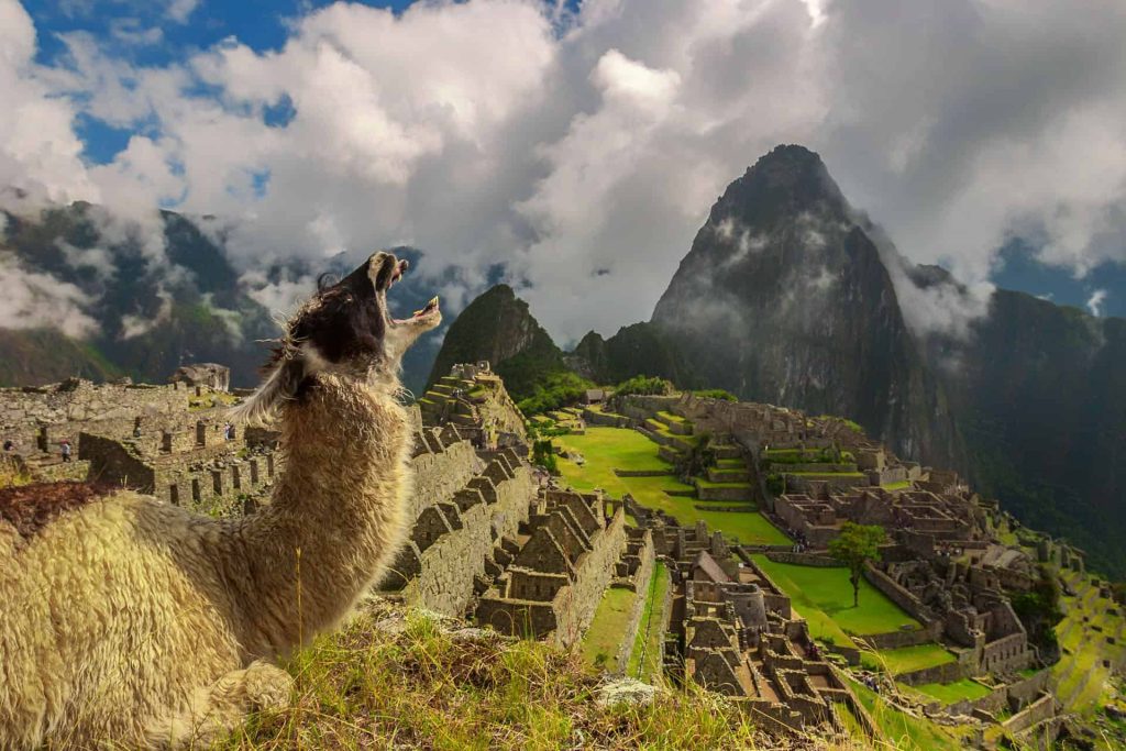 Ultimate Guide to the Wonders of the World: Ancient, Natural, and New